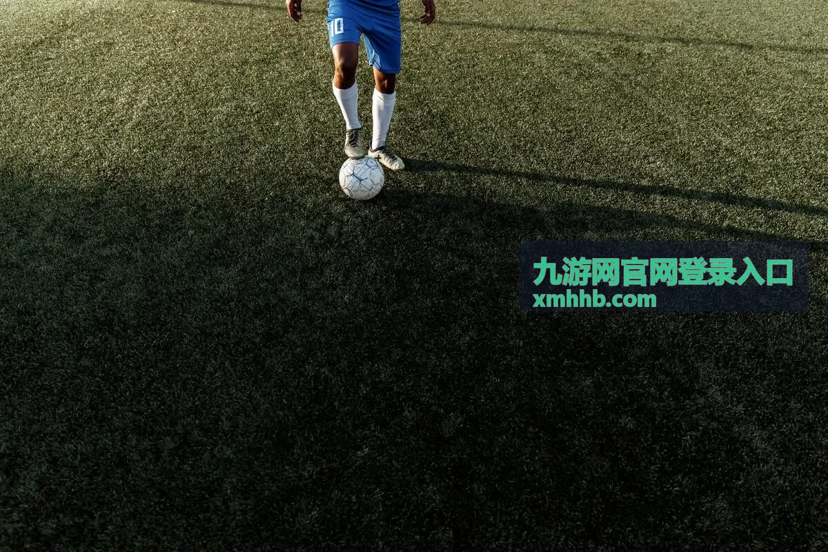 九游网官网登录入口密码与登录凭据检查示意画面